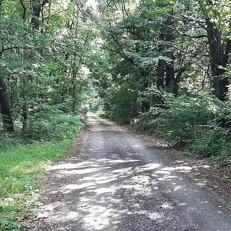 Domek - Lesna Kryjowka Promnik Exterior foto