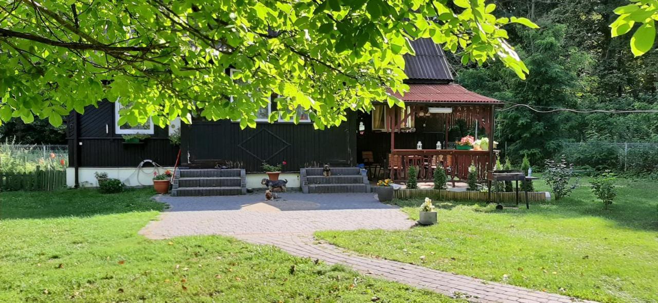 - Lesna Kryjowka * Promnik